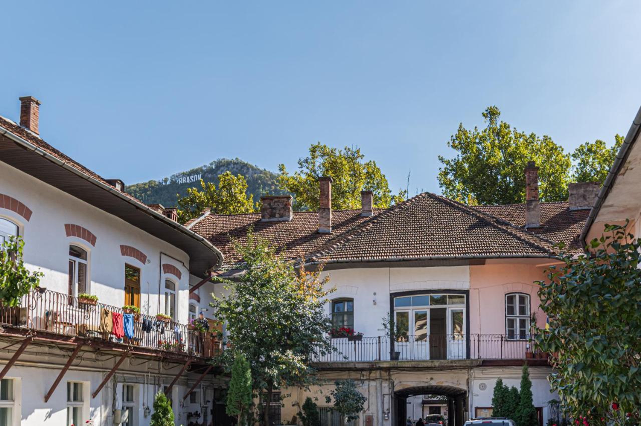 Zen Studio Braşov Buitenkant foto